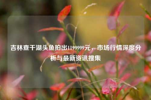 吉林查干湖头鱼拍出1199999元，市场行情深度分析与最新资讯搜集