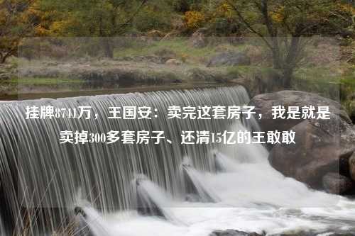 挂牌8741万，王国安：卖完这套房子，我是就是卖掉300多套房子、还清15亿的王敢敢