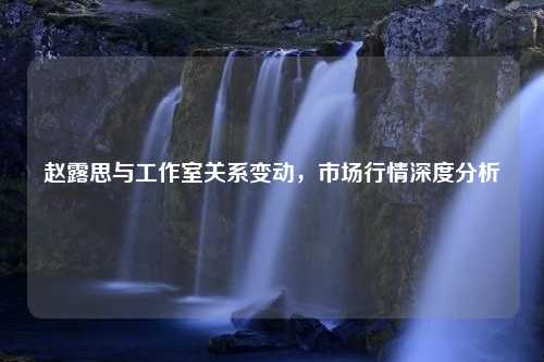 赵露思与工作室关系变动，市场行情深度分析