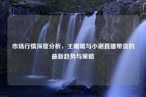 市场行情深度分析，王暖暖与小谢直播带货的最新趋势与策略