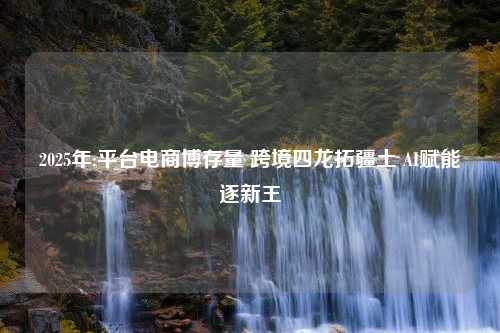 2025年:平台电商博存量 跨境四龙拓疆土 AI赋能逐新王