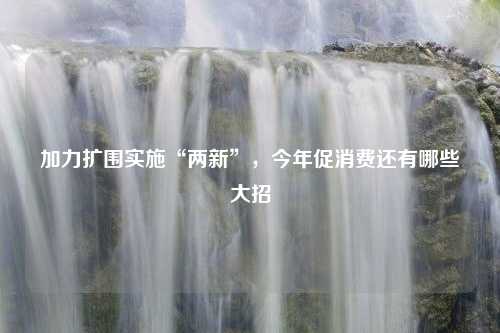 加力扩围实施“两新”，今年促消费还有哪些大招