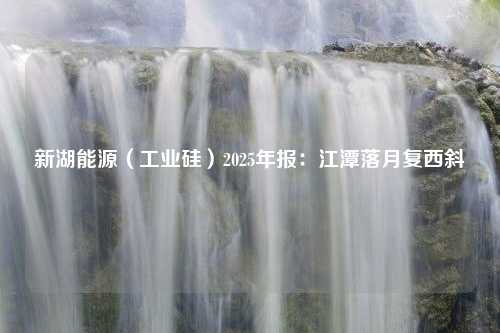 新湖能源（工业硅）2025年报：江潭落月复西斜